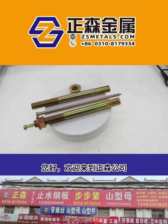 正森 錘擊壁虎 鍍彩鋅敲擊式錘擊壁虎 打入式拉爆膨脹螺絲