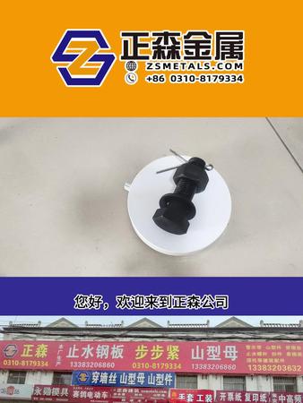 正森 8.8 10.9級高強度六角頭打孔帶銷螺絲 源頭實體廠家