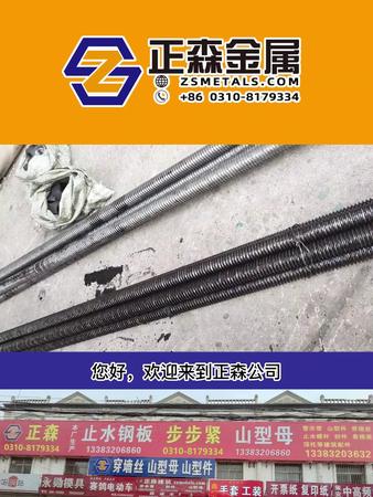 正森 T型扣螺母 外六角螺母 源頭實體廠家 現(xiàn)貨直銷
