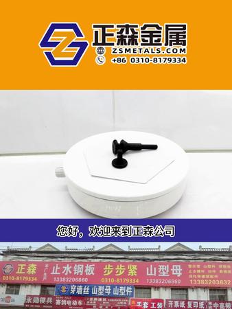 正森 一字槽冷镦异型件 源头实体厂家 各种规格均可定制