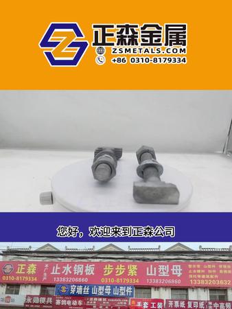 正森 熱鍍鋅哈芬槽螺栓 T型槽用螺栓 熱鍍鋅T型螺栓 